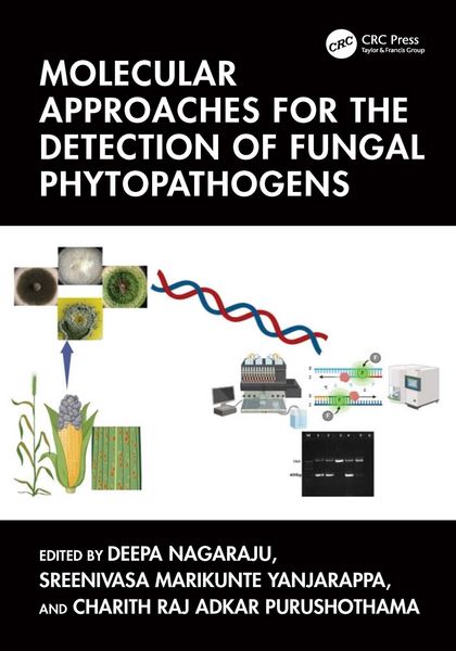 Produktbild: Molecular Approaches for the Detection of Fungal Phytopathogens