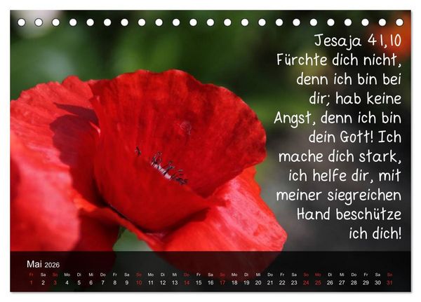 Produktbild: Sch&ouml;pfung im Licht (Tischkalender 2026 DIN A5 quer), CALVENDO Monatskalender
