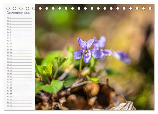 Produktbild: Wenn im Fr&uuml;hling die Natur wieder erwacht (Tischkalender 2026 DIN A5 quer), CALVENDO Monatskalender