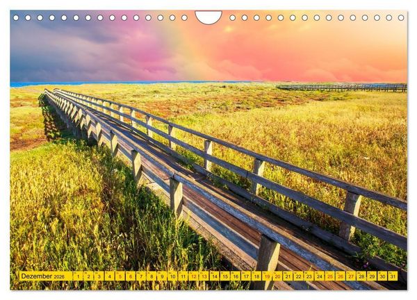 Produktbild: Das Element Holz - Ein Sinnbild (Wandkalender 2026 DIN A4 quer), CALVENDO Monatskalender