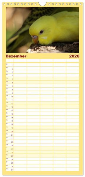 Produktbild: Familienplaner 2026 - Wellensittichkalender! - Das Original mit 5 Spalten (Wandkalender, 21 x 45 cm) CALVENDO