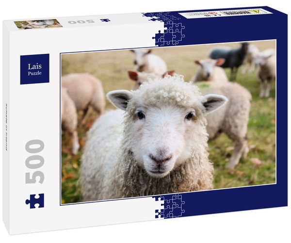 Lais Puzzle Schafe in Irland 500 Teile
