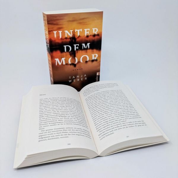 Produktbild: Unter dem Moor
