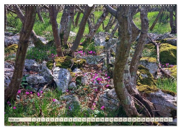Produktbild: Wenn der S&uuml;den bl&uuml;ht ... (Wandkalender 2026 DIN A2 quer), CALVENDO Monatskalender