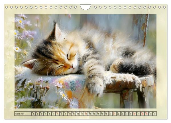 Produktbild: Katzenbabys. Flauschige Gl&uuml;cksmomente (Wandkalender 2027 DIN A4 quer), CALVENDO Monatskalender