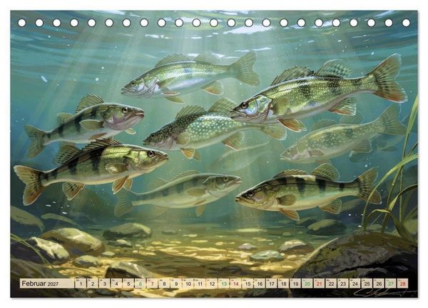 Produktbild: Barsche im See (Tischkalender 2027 DIN A5 quer), CALVENDO Monatskalender