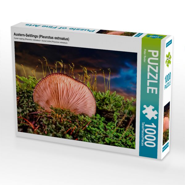 Produktbild: CALVENDO Puzzle Austern-Seitlings (Pleurotus ostreatus) 1000 Teile Lege-Gr&ouml;&szlig;e 640 x 480 cm Foto-Puzzle Bild von Peter Roder