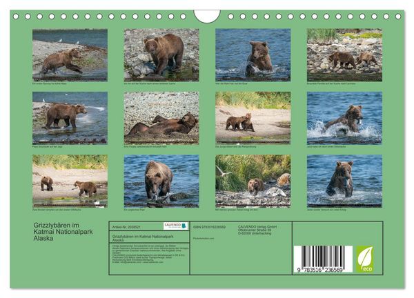 Produktbild: Grizzlyb&auml;ren im Katmai Nationalpark Alaska (Wandkalender 2026 DIN A4 quer), CALVENDO Monatskalender