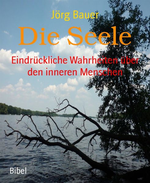 Produktbild: Die Seele