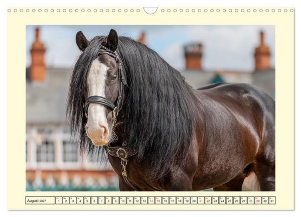 Produktbild: Shire Horse Zauber. Englands elegante Riesen (Wandkalender 2027 DIN A3 quer), CALVENDO Monatskalender