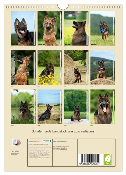 Produktbild: Sch&auml;ferhunde Langstockhaar zum verlieben (Wandkalender 2026 DIN A4 hoch), CALVENDO Monatskalender