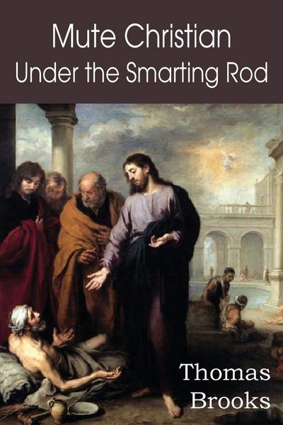 Produktbild: Mute Christian Under the Smarting Rod; Of the Silent Soul with Sovereign Antidotes