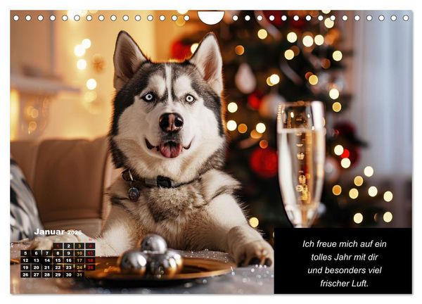Produktbild: Der tierisch lustige Husky Kalender (Wandkalender 2026 DIN A4 quer), CALVENDO Monatskalender