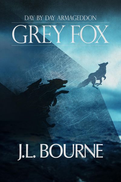 Produktbild: Day By Day Armageddon: Grey Fox