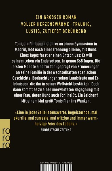 Die Mauersegler