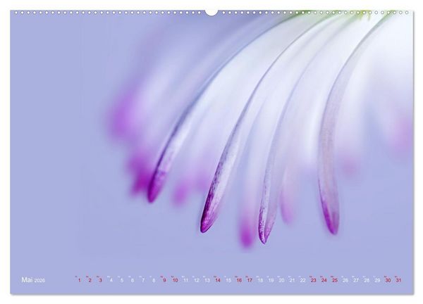 Produktbild: DEEP INSIDE - Bl&uuml;tenmakros (hochwertiger Premium Wandkalender 2026 DIN A2 quer), Kunstdruck in Hochglanz