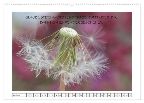 Produktbild: Spruch verliebt (hochwertiger Premium Wandkalender 2026 DIN A2 quer), Kunstdruck in Hochglanz