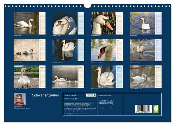 Produktbild: Schwanenzauber (Wandkalender 2026 DIN A3 quer), CALVENDO Monatskalender