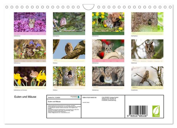 Produktbild: Eulen und M&auml;use (Wandkalender 2026 DIN A4 quer), CALVENDO Monatskalender