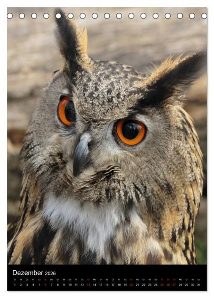 Produktbild: Scharfe Krallen, scharfe Augen, Greifv&ouml;gel und Eulen im Wildpark (Tischkalender 2026 DIN A5 hoch), CALVENDO Monatskalender