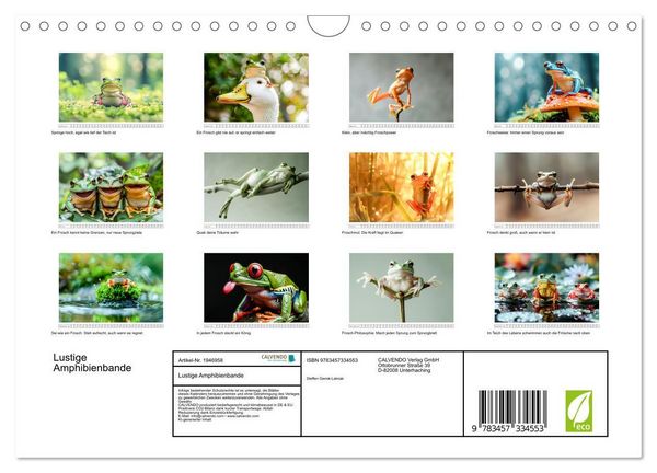 Produktbild: Lustige Amphibienbande (Wandkalender 2026 DIN A4 quer), CALVENDO Monatskalender