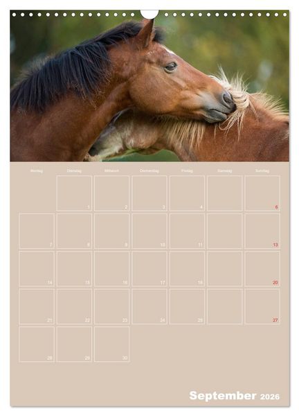 Produktbild: Pferde / Planer (Wandkalender 2026 DIN A3 hoch), CALVENDO Monatskalender