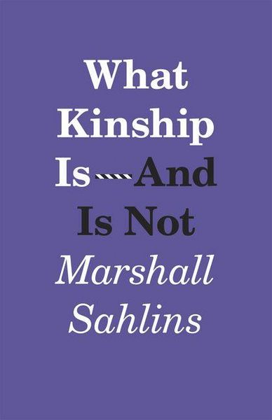 Produktbild: What Kinship Is-And Is Not