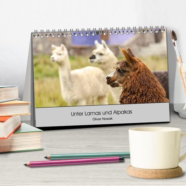 Produktbild: Unter Lamas und Alpakas (Tischkalender 2027 DIN A5 quer), CALVENDO Monatskalender