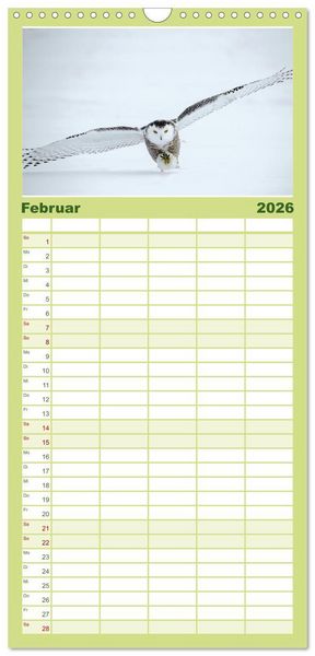 Produktbild: Familienplaner 2026 - Eulen - Wachsame und geheimnisvolle Augen mit 5 Spalten (Wandkalender, 21 x 45 cm) CALVENDO