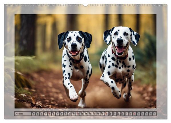 Produktbild: Dalmatiner - freundliche Temperamentsbolzen (hochwertiger Premium Wandkalender 2026 DIN A2 quer), Kunstdruck in Hochglanz