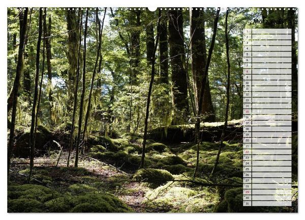 Produktbild: Kia ora, Aotearoa - Wunderbares Neuseeland (Wandkalender 2026 DIN A2 quer), CALVENDO Monatskalender