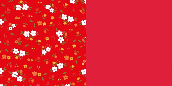Produktbild: Easy Origami Flowers