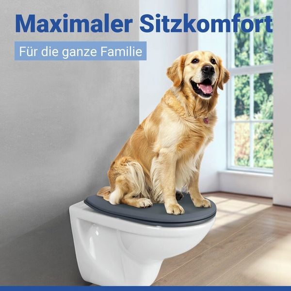 Produktbild: WC Sitz Mod. Sedilo Grau matt, Toilettendeckel in D-Form mit Absenkautomatik