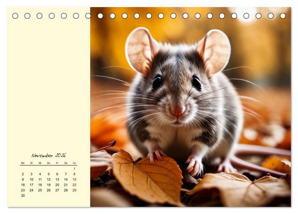 Produktbild: Goldige M&auml;use im Gr&uuml;nen (Tischkalender 2026 DIN A5 quer), CALVENDO Monatskalender