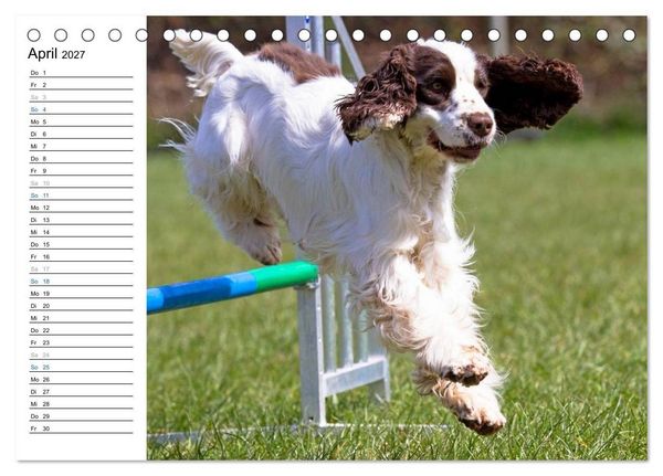 Produktbild: Agility - Sport und Spass (Tischkalender 2027 DIN A5 quer), CALVENDO Monatskalender