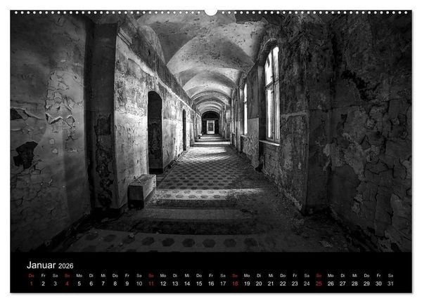 Produktbild: lost beauty (hochwertiger Premium Wandkalender 2026 DIN A2 quer), Kunstdruck in Hochglanz