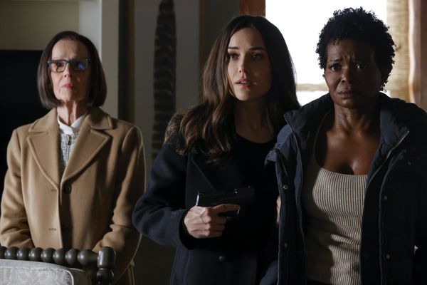 The Blacklist - Die komplette achte Season [6 DVDs]