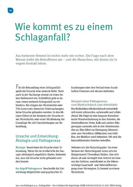 Produktbild: Schlaganfall - Der Leitfaden f&uuml;r Angeh&ouml;rige