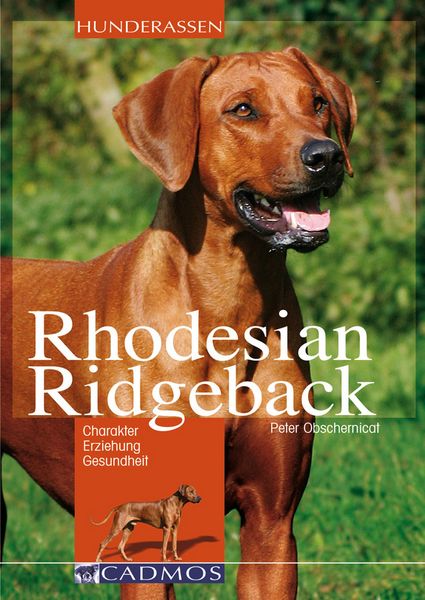 Produktbild: Rhodesian Ridgeback