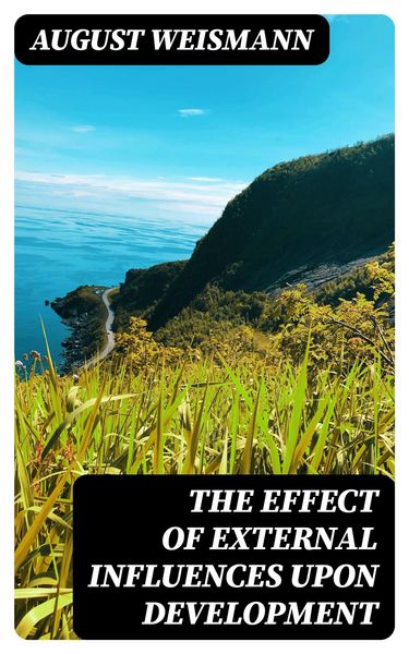 Produktbild: The Effect of External Influences upon Development