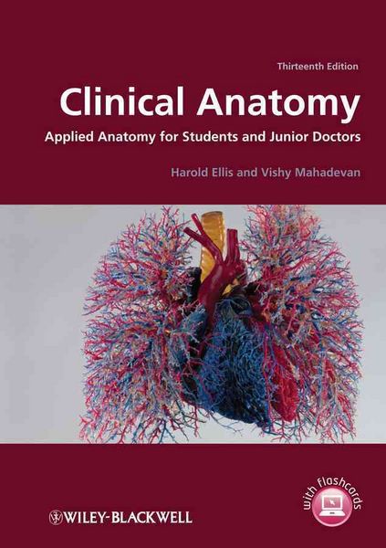 Produktbild: Clinical Anatomy