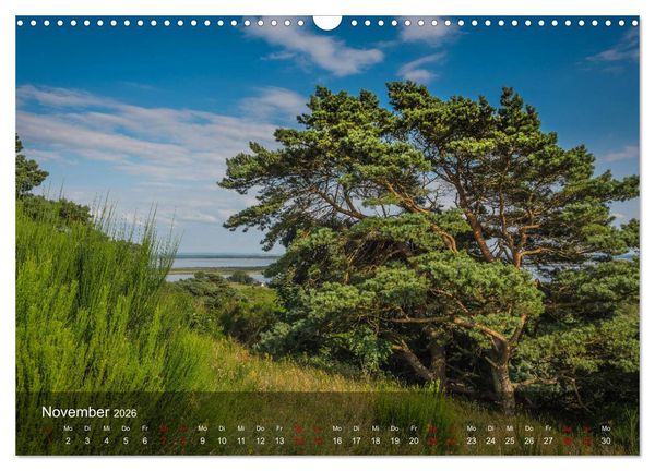 Produktbild: Insel Hiddensee - Wildromantisch unber&uuml;hrt (Wandkalender 2026 DIN A3 quer), CALVENDO Monatskalender