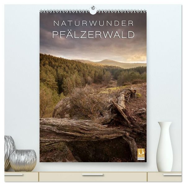 Produktbild: NATURWUNDER PF&Auml;LZERWALD (hochwertiger Premium Wandkalender 2027 DIN A2 hoch), Kunstdruck in Hochglanz