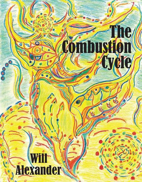 Produktbild: The Combustion Cycle