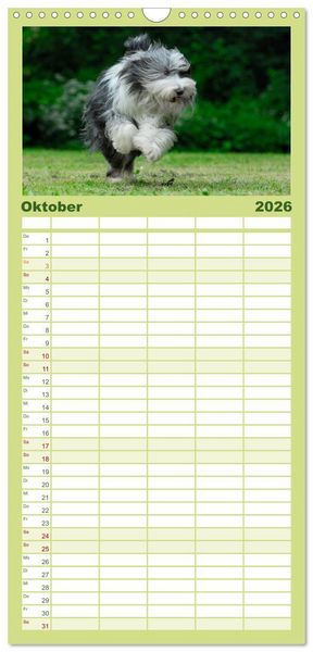 Produktbild: Familienplaner 2026 - Liebenswerter Clown Bearded Collie mit 5 Spalten (Wandkalender, 21 x 45 cm) CALVENDO