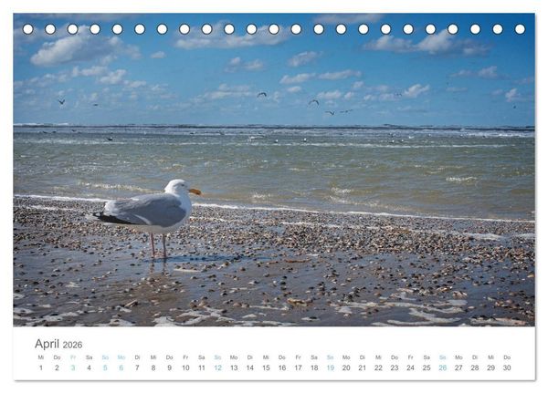 Produktbild: Juist - mein T&ouml;werland (Tischkalender 2026 DIN A5 quer), CALVENDO Monatskalender