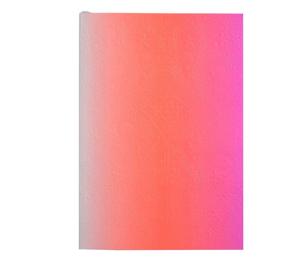 Produktbild: Lacroix, C: Neon Pink A5 Ombre Paseo Notebook
