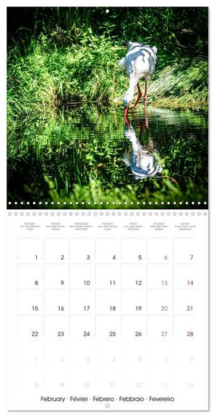 Produktbild: Whispers of Wings (Wall Calendar 2027 12 &times; 12 Inch) CALVENDO 12 Month Wall Calendar