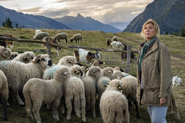 Produktbild: Belle & Sebastian - Ein Sommer voller Abenteuer