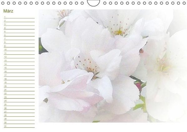 Produktbild: Bl&uuml;tentr&auml;ume - ganz in wei&szlig; / Geburtstagskalender (Wandkalender immerw&auml;hrend DIN A4 quer)